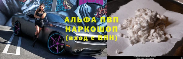 сатива Балахна