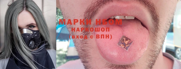 сатива Балахна