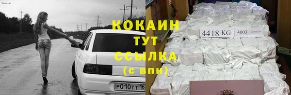 сатива Балахна
