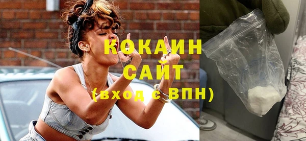 прущие грибы Белокуриха