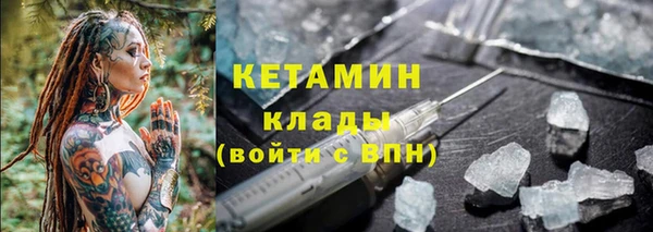 прущие грибы Белокуриха