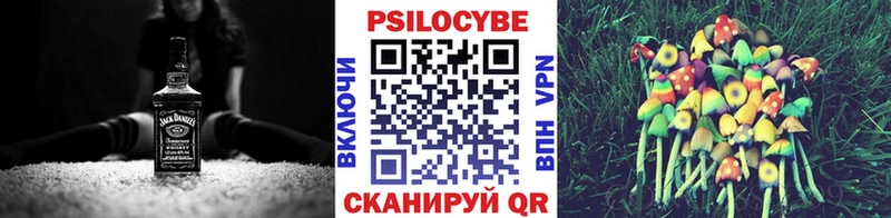 Псилоцибиновые грибы мицелий  блэк спрут как зайти  Сегежа 
