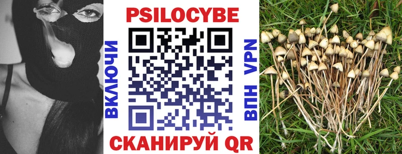 Галлюциногенные грибы Cubensis Сегежа